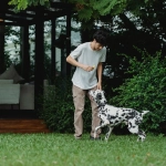 Расслабляющий игровой процесс слота The Dog House для комфортного отдыха