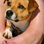 Комфортная игра в казино с программами лояльности без депозита