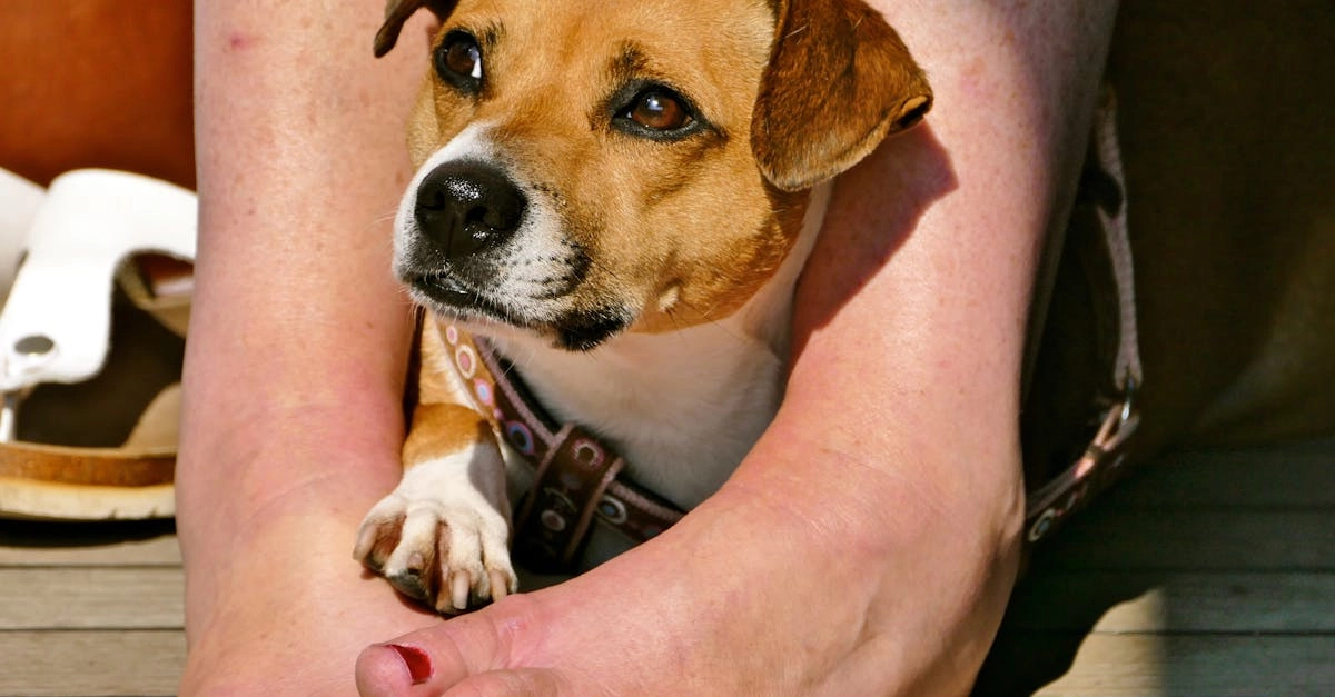 Комфортная игра в казино с программами лояльности без депозита