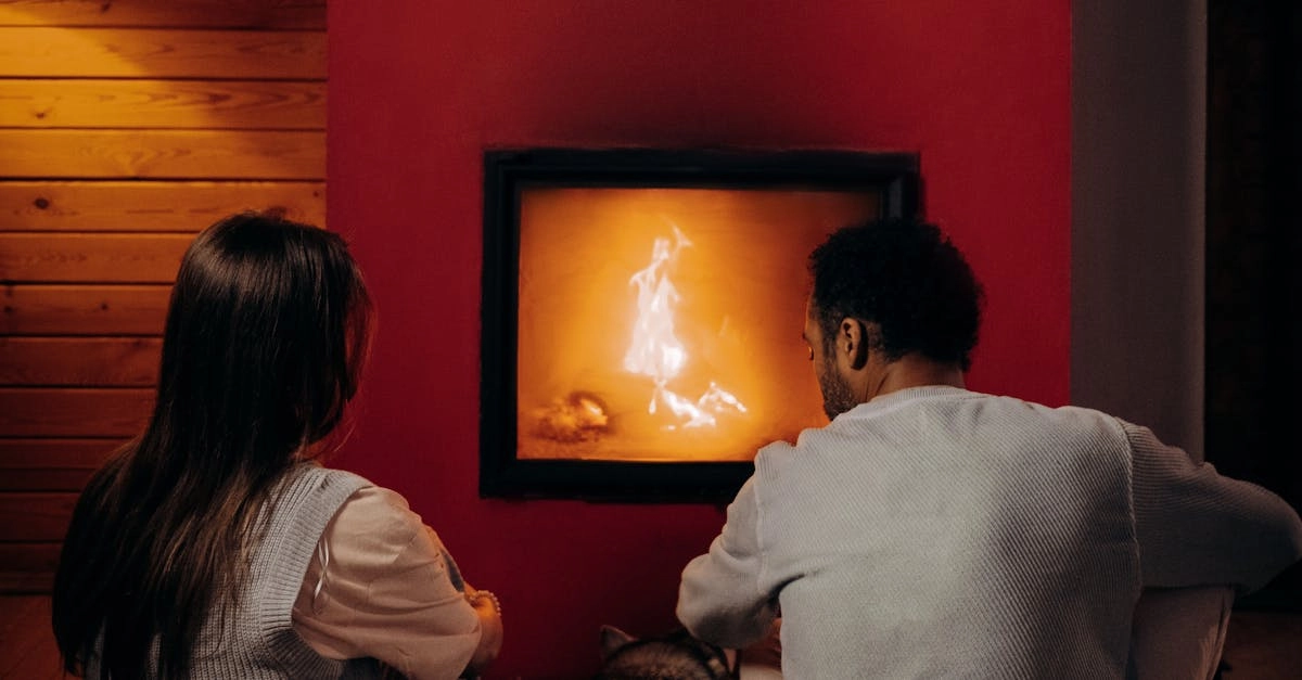 Комфортный слот The Dog House Megaways для расслабляющей игры